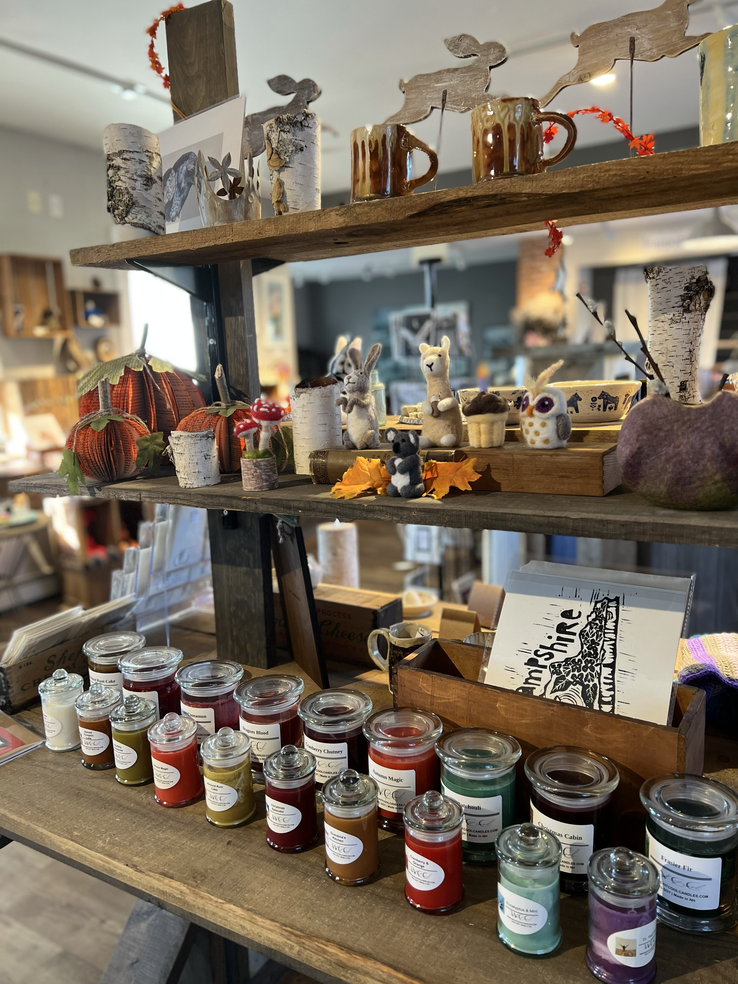 Fine art at Hollis Artspace gallery